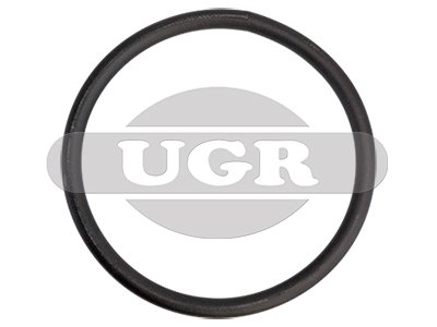 Уплотняющее кольцо фильтра воздуха MAN TGA d190x12.5mm Uygur 22166 (фото 1)