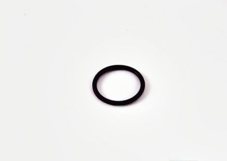 Кольцо уплотнительное испарителя 17.2*1.82 VAG 7H0820749 (фото 1)