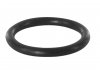 Уплотнительное кольцо, болт крышки радиатора VAICO V10-2598 (фото 2)