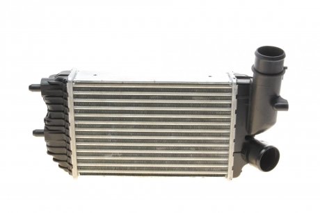 Радіатор інтеркулера Citroen Jumper/Fiat Ducato 1.9-2.8D 96- Van Wezel 40004183 (фото 1)