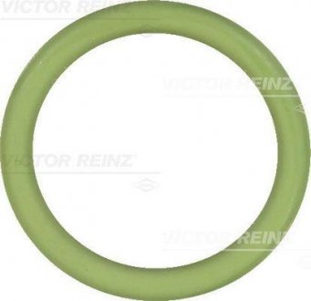 Уплотняющее кольцо VICTOR REINZ 407657910