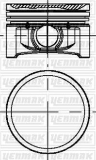 Фото автозапчасти поршень Renault Kangoo/Clio II-IV 1.2 16V 01- (69.00mm/STD) YENMAK 31-04184-000 (фото 1)