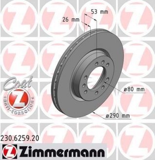 Гальмівний диск ZIMMERMANN 230625920 (фото 1)